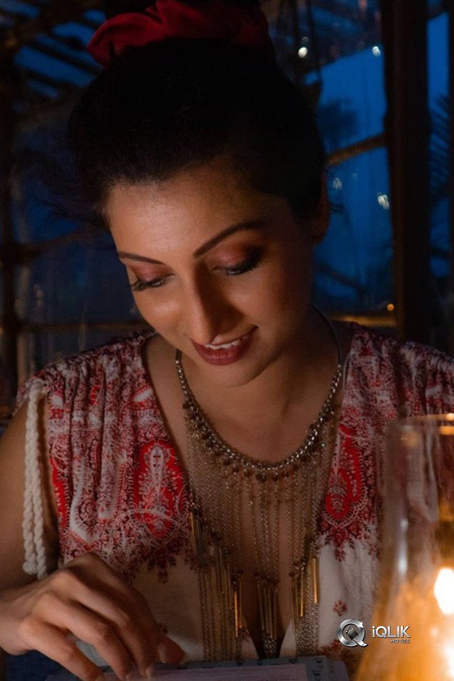 Hamsa-Nandini